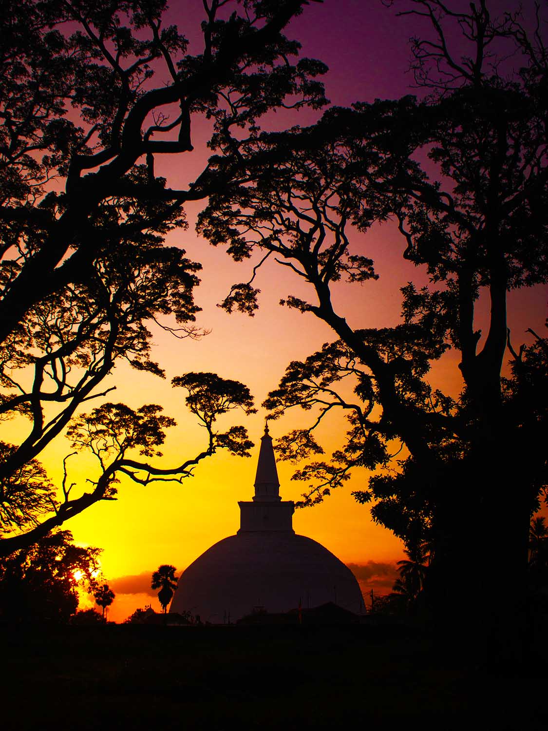 visit in Sri Lanka