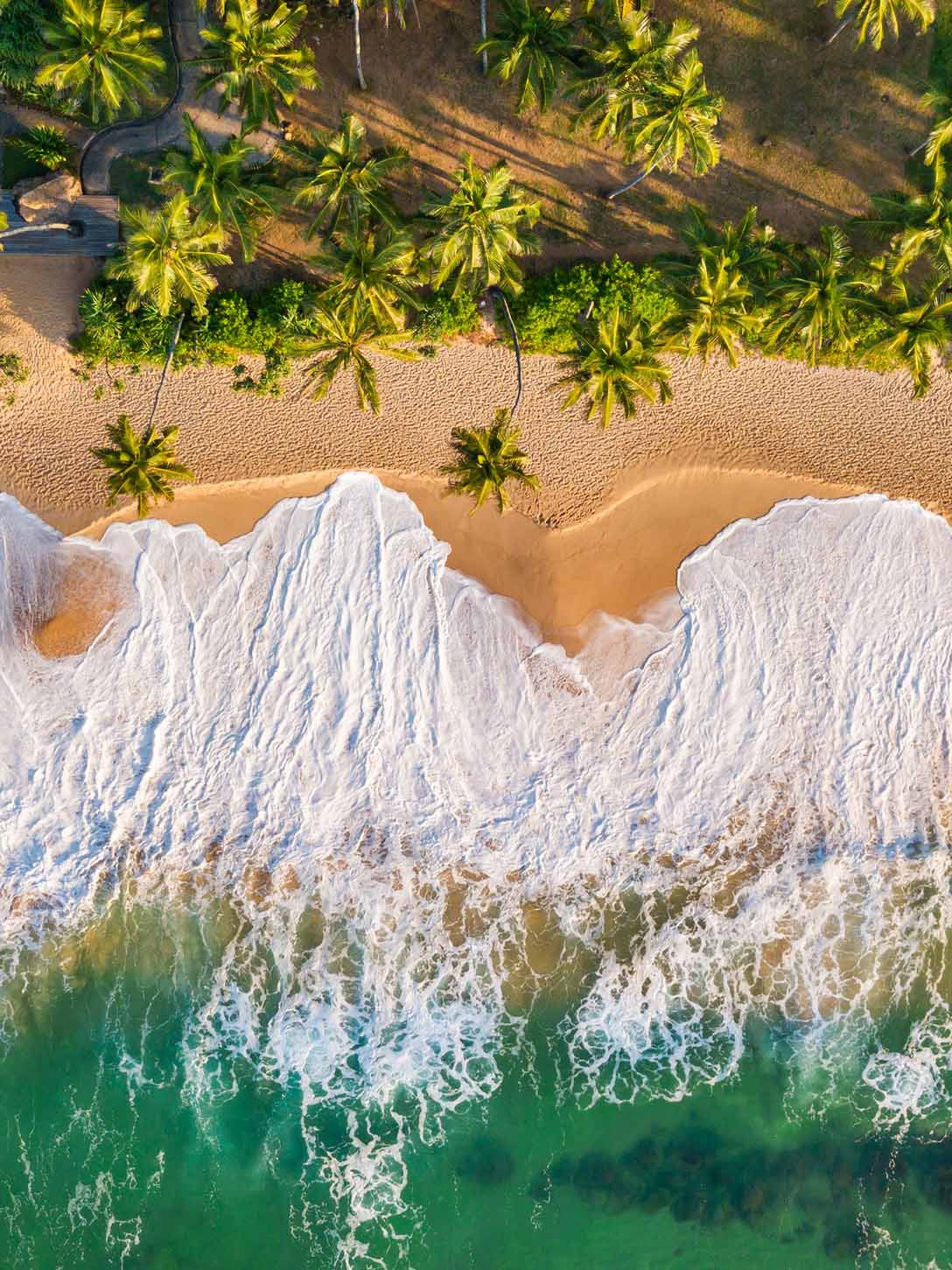 Sri lanka Beach
