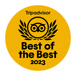 Tripadvisor best of the best